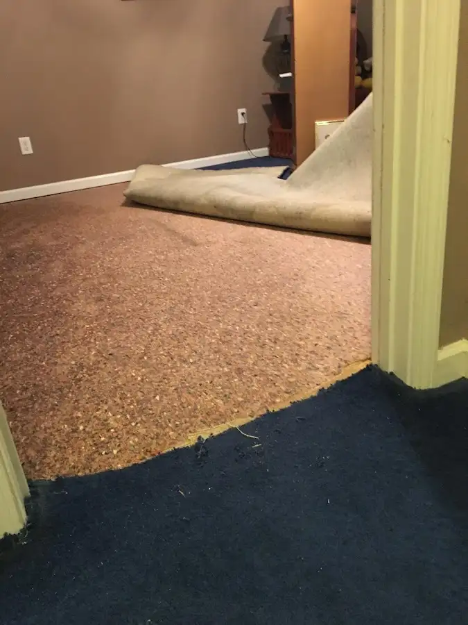Carpet pad removal revealing water damage during Water Mitigation Services in Columbia